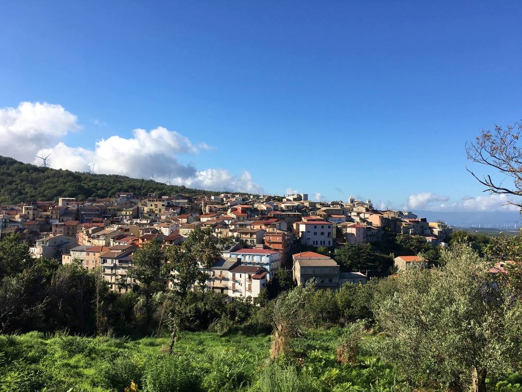 Dal cuore della Calabria l'eccellenza dell'Amaro Silano > Strill Eat