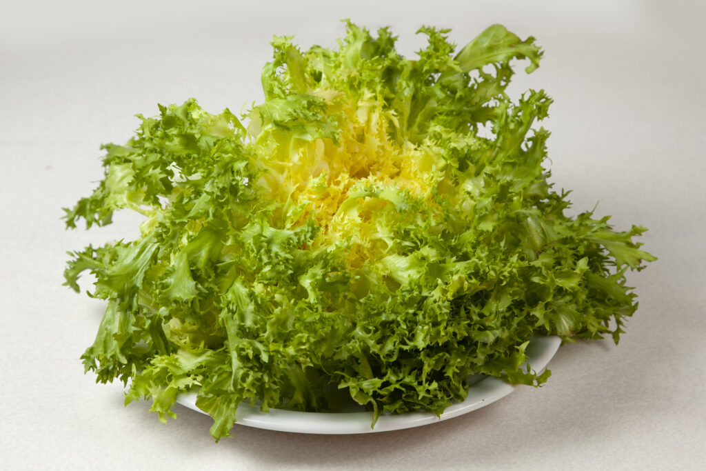 curly escarole on white dish.