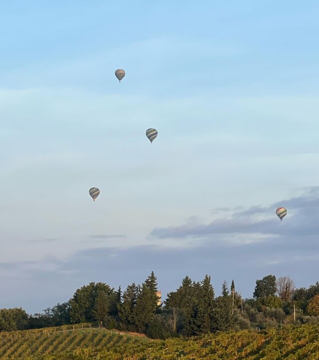 On my bucket list is a hot air balloon ride over Tuscany’s countryside. We witnessed these beauties during our Tuscany culinary adventure this past month. While enjoying breakfast at our private villa, we looked up and there they were. I so wanted to be in one!

Have you ever done it? Would you do it? I love flying and have no fear of heights so I think this looks amazing! 🤩 

#hotairballoon #hotairballoonovertuscany #tuscanyfoodandwinetour #travelwithme #joinmenexttime #joinmeorwatchme #italy2025 #italyonmymind